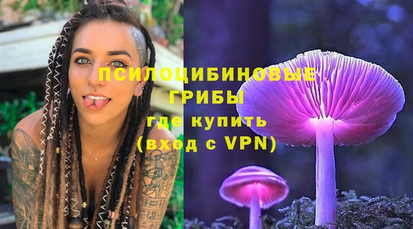соль курить ск Бородино