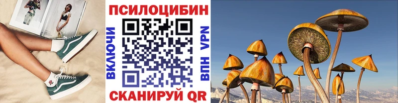 Галлюциногенные грибы Cubensis  Купить закладки  Свирск 